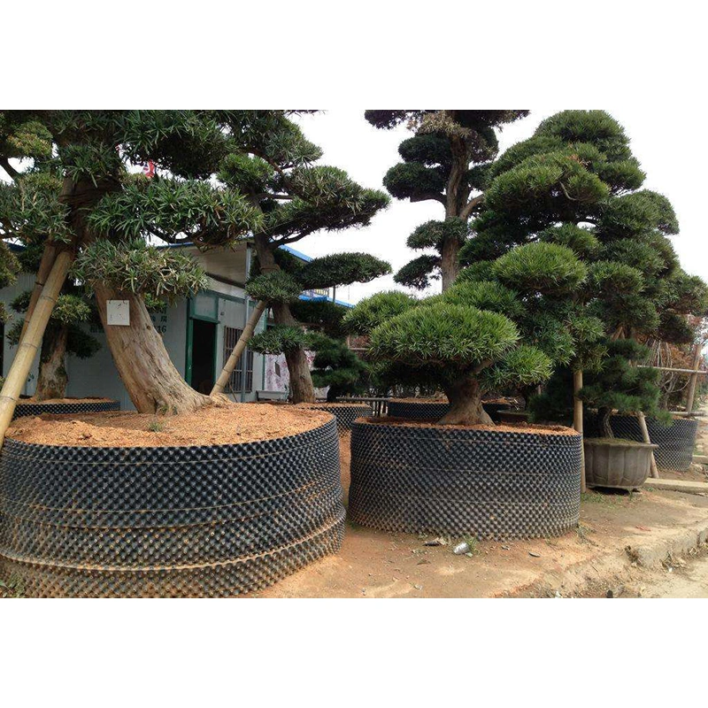 Plant Grow Pot PE/PVC Container PE/PVC Air Root Pruning Pots for Trees/Flowers/Vegetables/Crops Growing