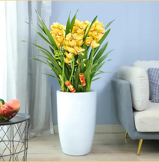 Plastic Plant Pot Self-Watering Planters for Plants, Flowers, Herbs, African Violets, Succulents Bl19663