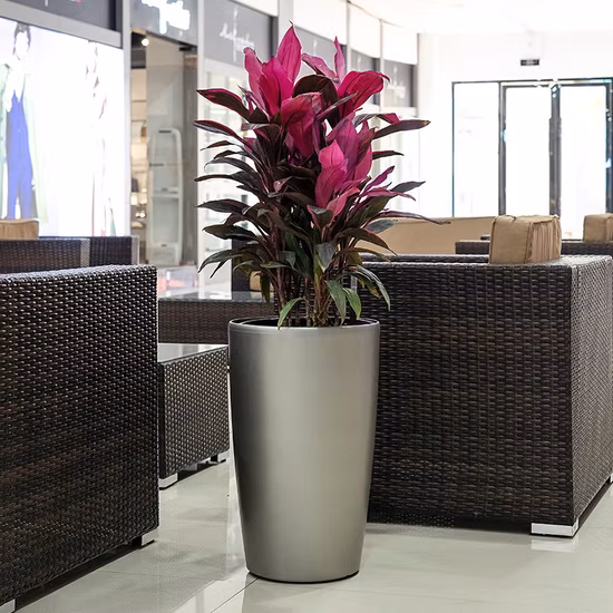 Plastic Plant Pot Self-Watering Planters for Plants, Flowers, Herbs, African Violets, Succulents Bl19663